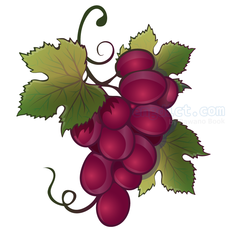 grape แปลว่า องุ่น