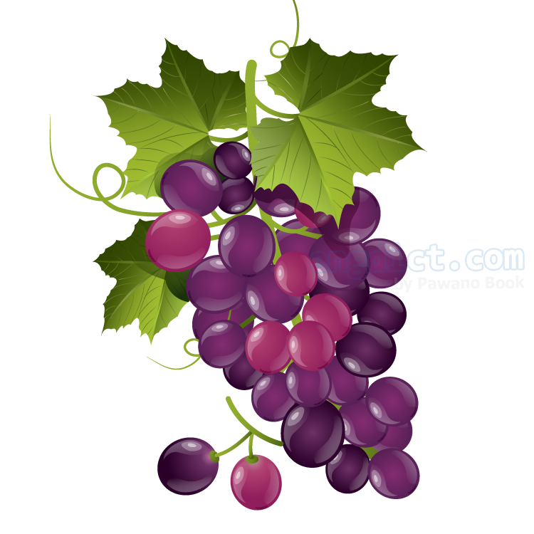 grape แปลว่า องุ่น