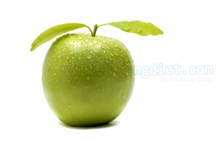 green apple แปลว่า แอปเปิ้ลเขียว