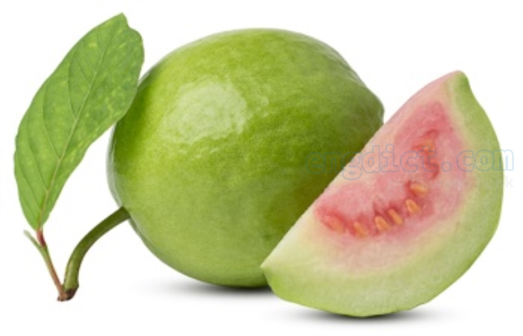 guava แปลว่า ฝรั่ง