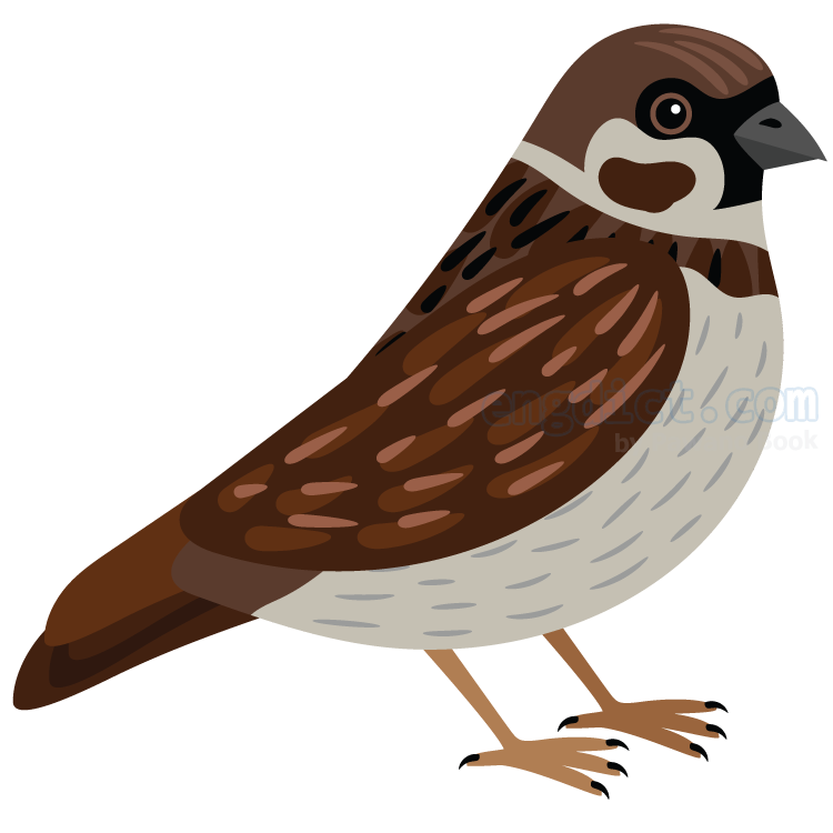 hen-sparrow แปลว่า นกกระจอกตัวเมีย