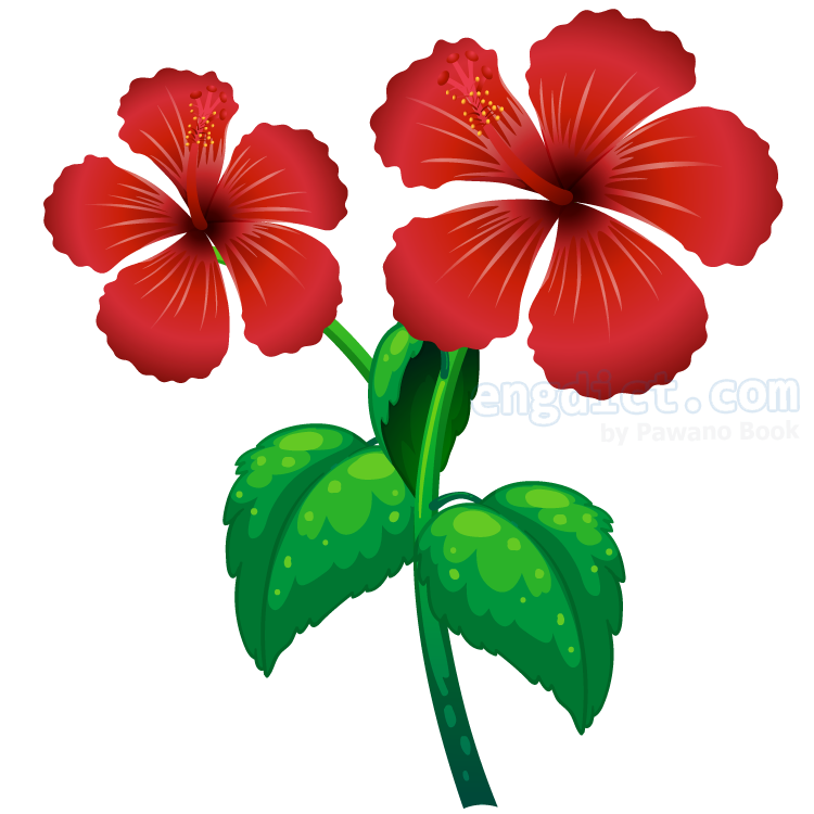 hibicus (ฮิบิคัส) แปลว่าอะไร? ดูความหมาย ภาพประกอบ ตัวอย่างประโยค | ENGDICT.COM Hibicus (ฮิบิคัส) แปลว่าอะไร? ดูความหมาย ภาพประกอบ ตัวอย่างประโยค | Engdict.Com