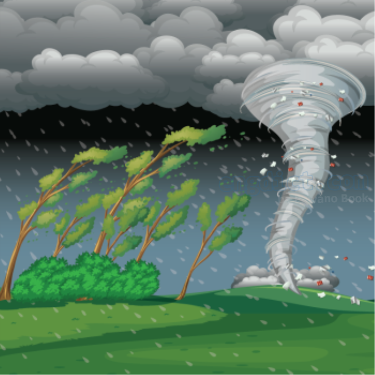 hurricane แปลว่า พายุเฮอริเคน