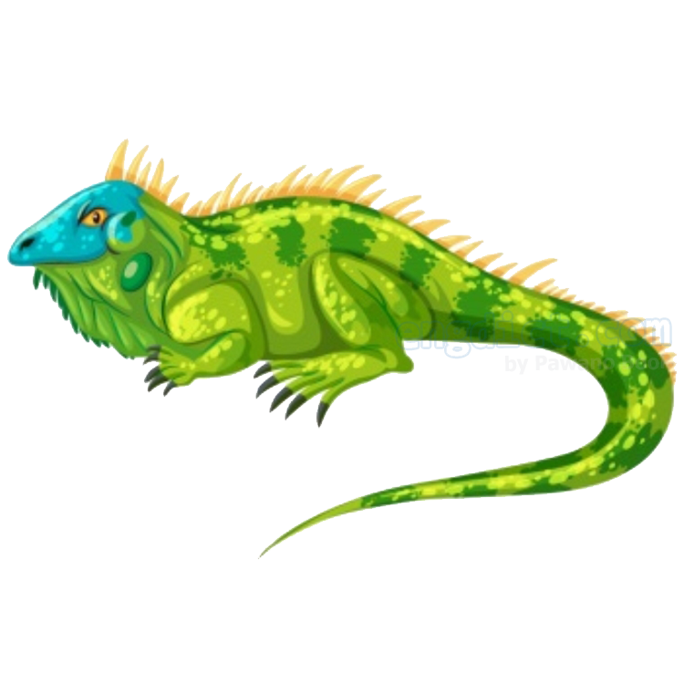 iguana แปลว่า อีกัวน่า(สัตว์เลื้อยคลานตระกูลIguanidaeคล้ายจิ้งจกแต่ใหญ่กว่า)