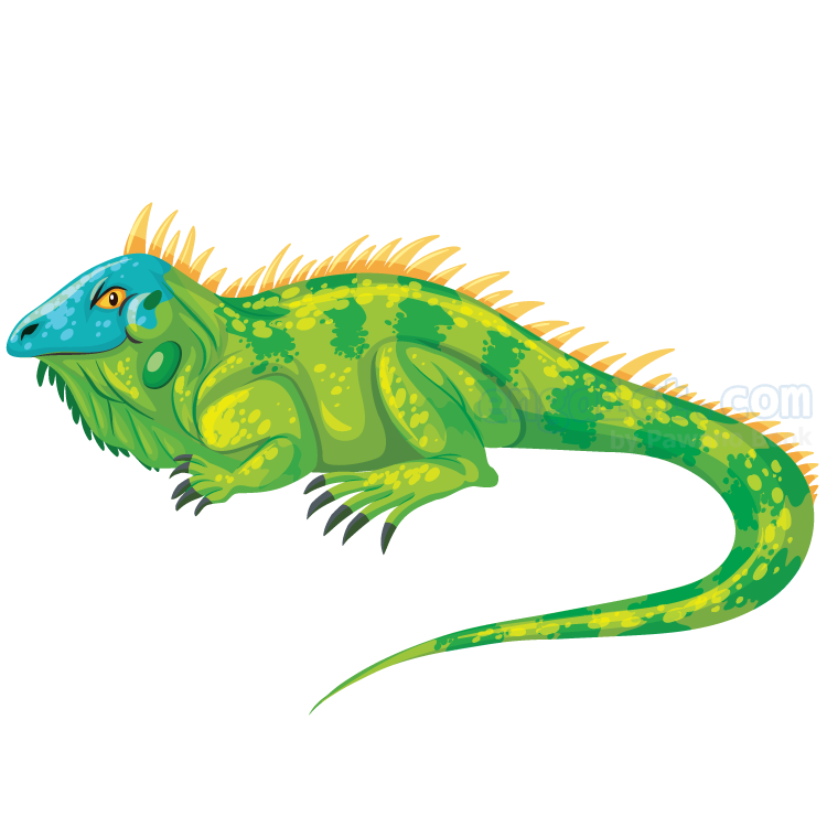 iguana แปลว่า อีกัวน่า