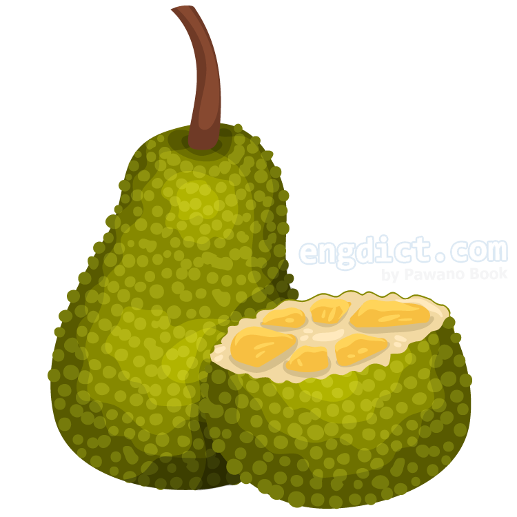 jackfruit แปลว่า ขนุน