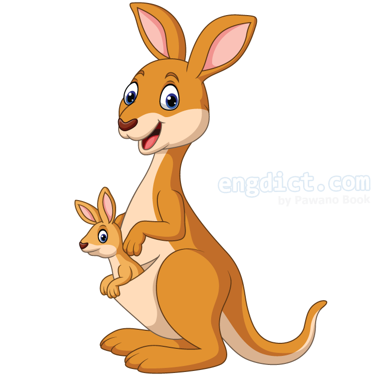 kangaroo แปลว่า จิงโจ้