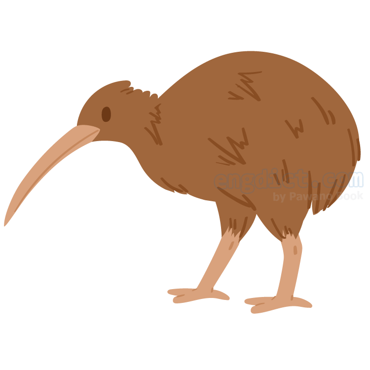 kiwi แปลว่า นกกีวี
