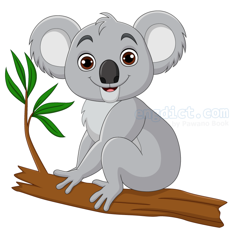 koala แปลว่า หมีโคอาล่า