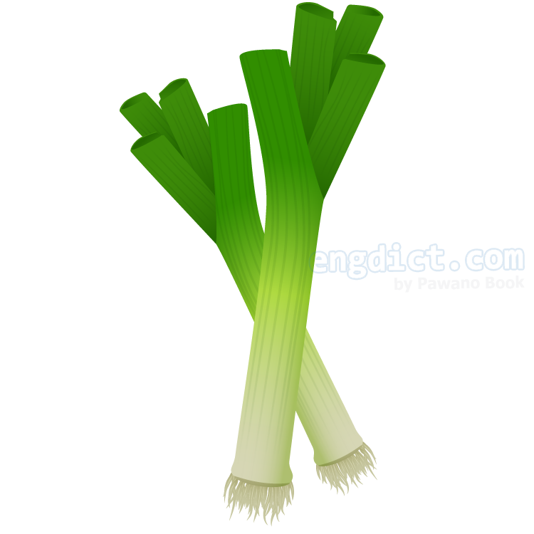 leek แปลว่า ต้นกระเทียม