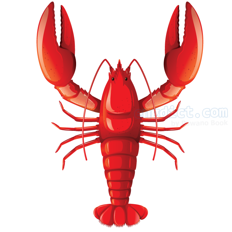 lobster แปลว่า กุ้งทะเลขนาดใหญ่