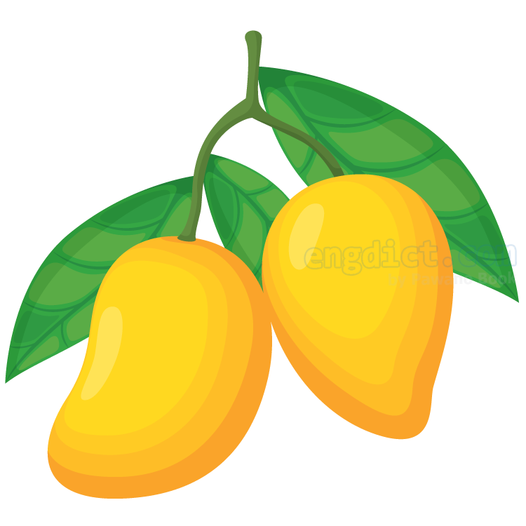 mango แปลว่า มะม่วง