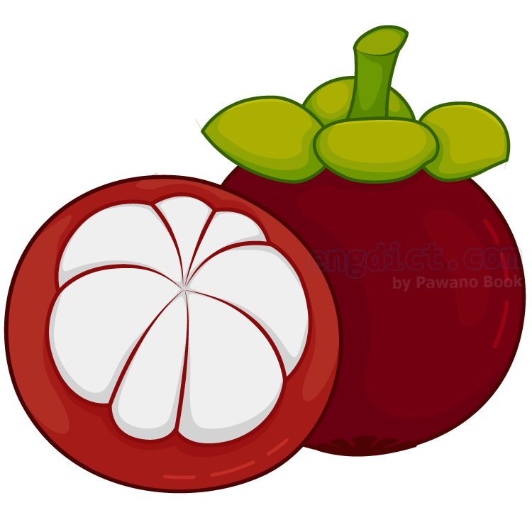 mangosteen แปลว่า มังคุด