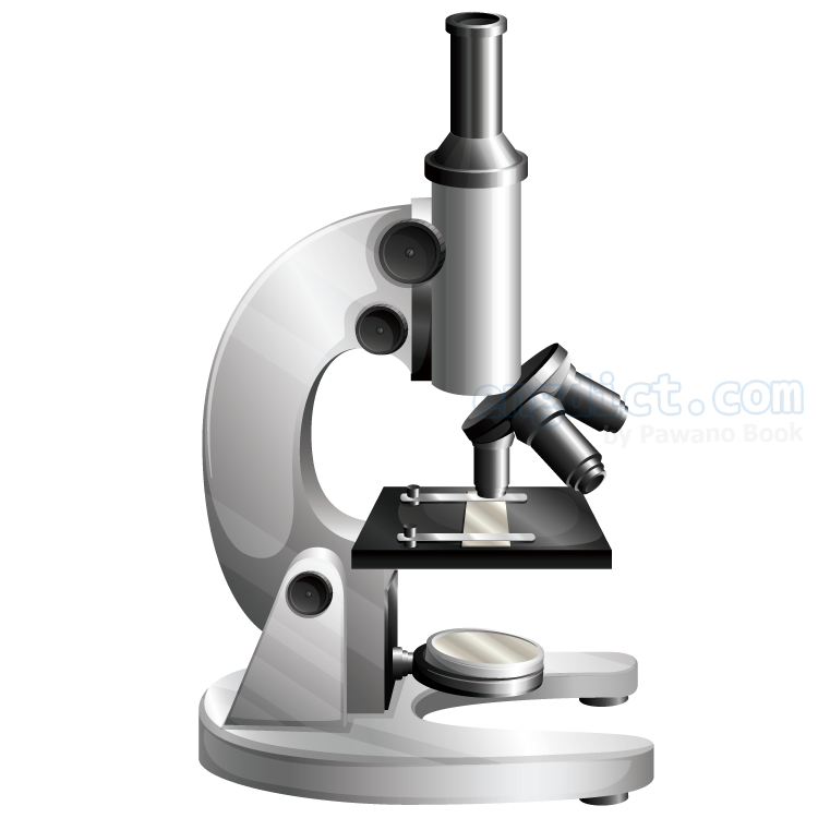 microscope แปลว่า กล้องจุลทรรศน์