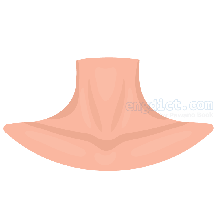 Neck Clipart Long Neck Neck Long Neck Transparent Fre