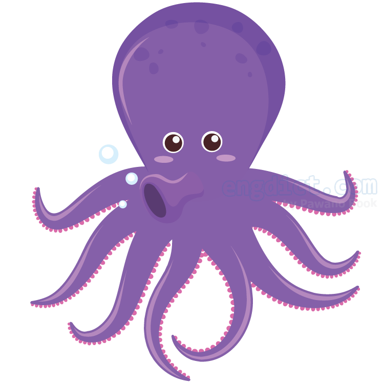 octopus แปลว่า ปลาหมึกยักษ์