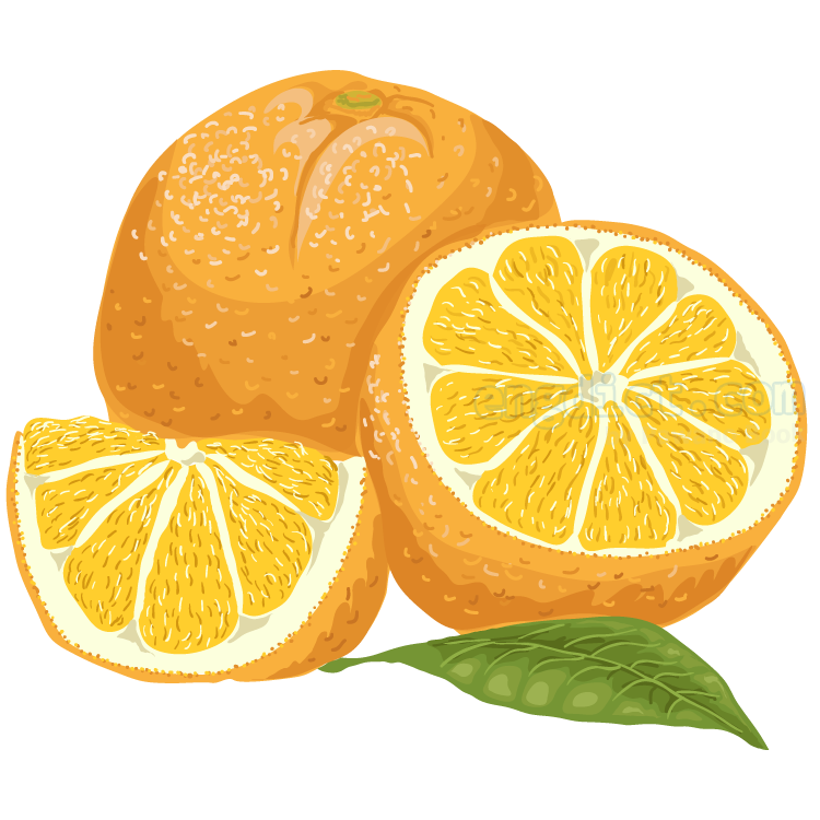 orange แปลว่า ส้ม