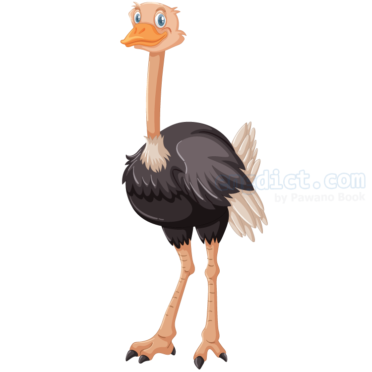 ostrich แปลว่า นกกระจอกเทศ