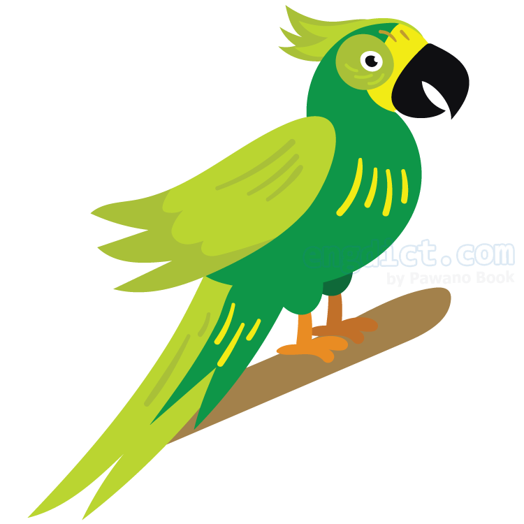 Parrot (แพเริท) แปลว่าอะไร? ดูความหมาย ภาพประกอบ ตัวอย่างประโยค |  Engdict.Com