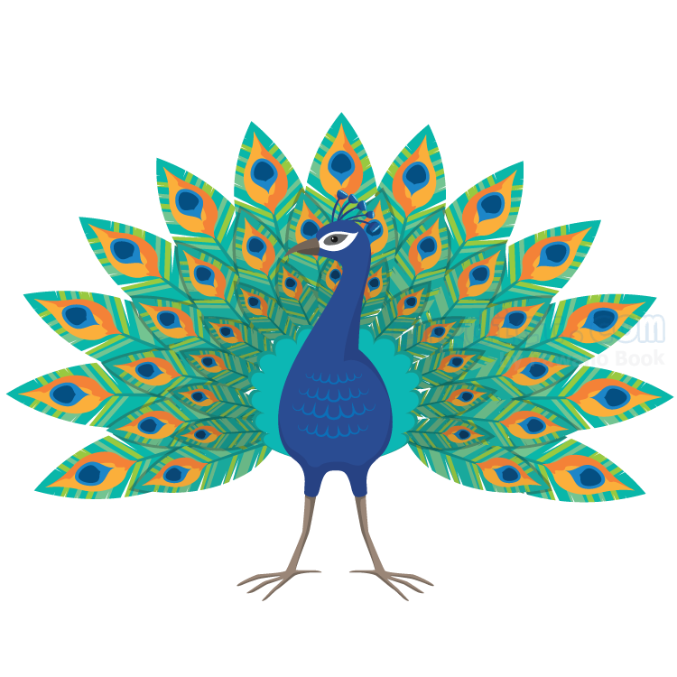 peacock แปลว่า นกยูง