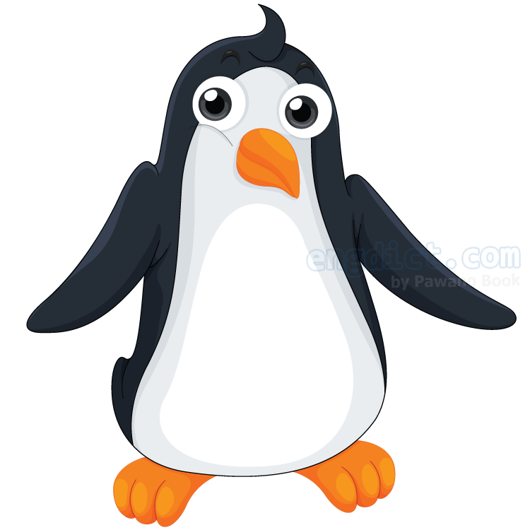 penguin แปลว่า นกเพนกวิน