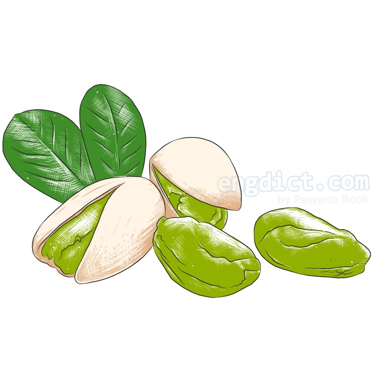 pistachio แปลว่า ถั่วพิตาชิโอ