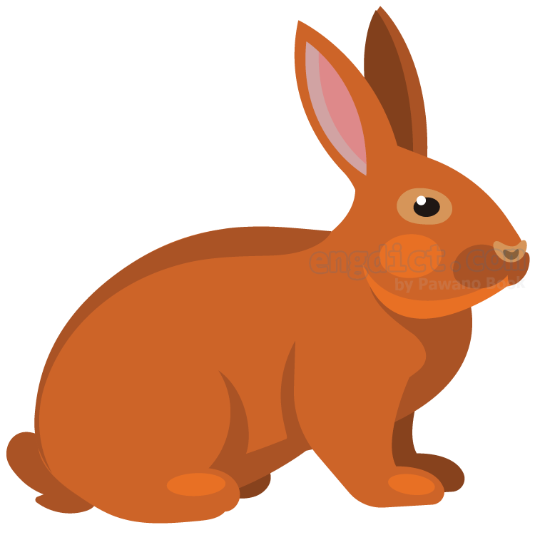 Rabbit (แรบบิท) แปลว่าอะไร? ดูความหมาย ภาพประกอบ ตัวอย่างประโยค |  Engdict.Com