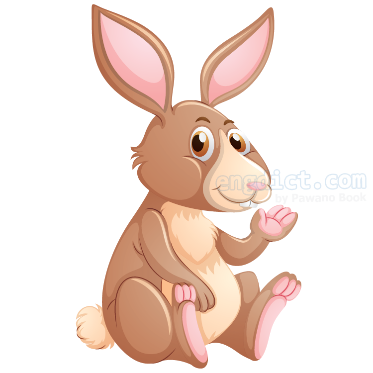 Rabbit (แรบบิท) แปลว่าอะไร? ดูความหมาย ภาพประกอบ ตัวอย่างประโยค |  Engdict.Com