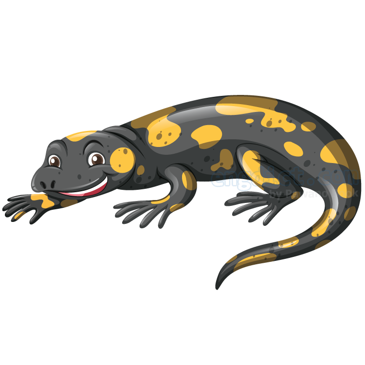 salamander แปลว่า ตัวซาลาแมนเดอร์