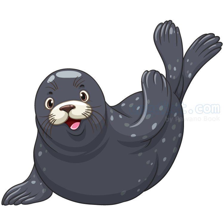 seal แปลว่า แมวน้ำ