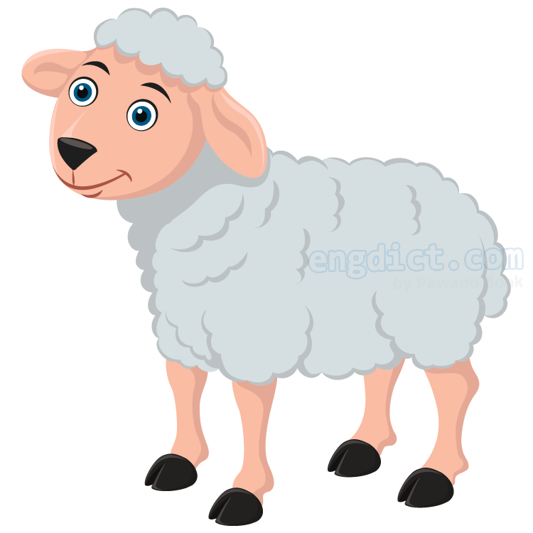 sheep แปลว่า แกะ