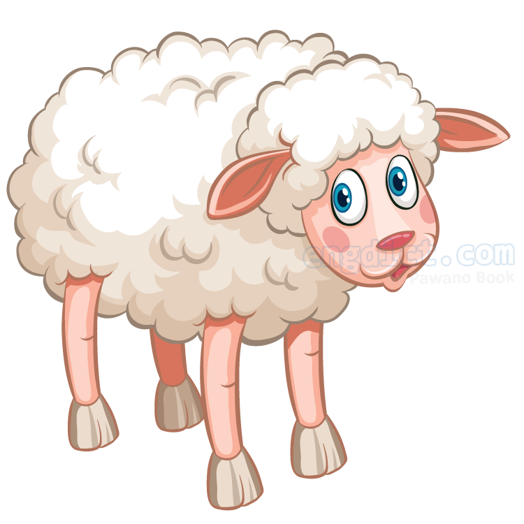 sheep แปลว่า แกะ