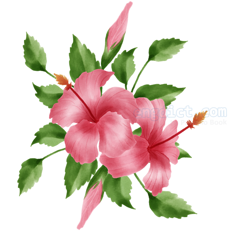 shoe flower (ชู เฟลาเออะ) แปลว่าอะไร? ดูความหมาย ภาพประกอบ ตัวอย่างประโยค | ENGDICT.COM Shoe Flower (ชู เฟลาเออะ) แปลว่าอะไร? ดูความหมาย ภาพประกอบ ตัวอย่างประโยค | Engdict.Com