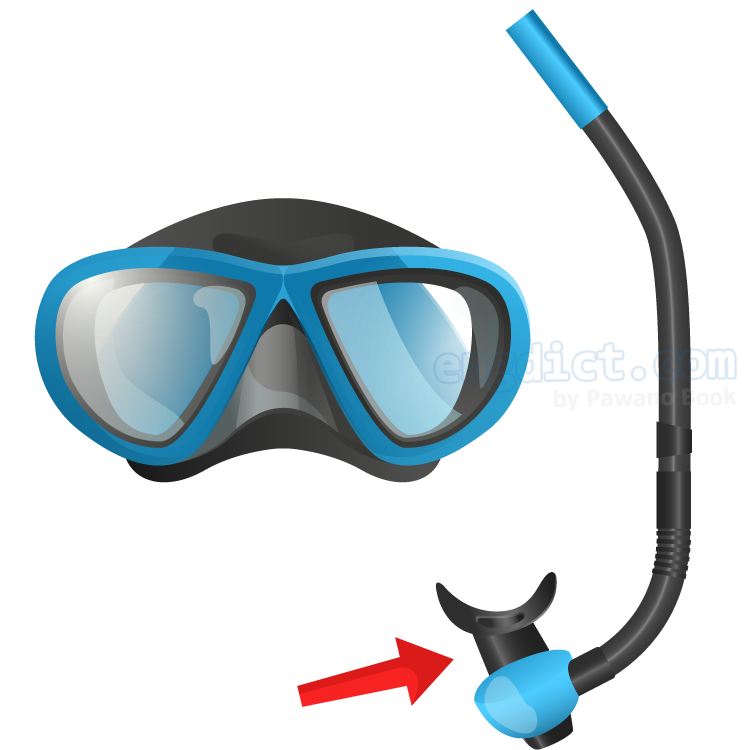 snorkel แปลว่า ท่อช่วยหายใจในน้ำ