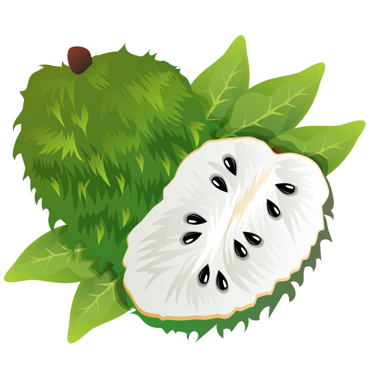 soursop แปลว่า ทุเรียนเทศ