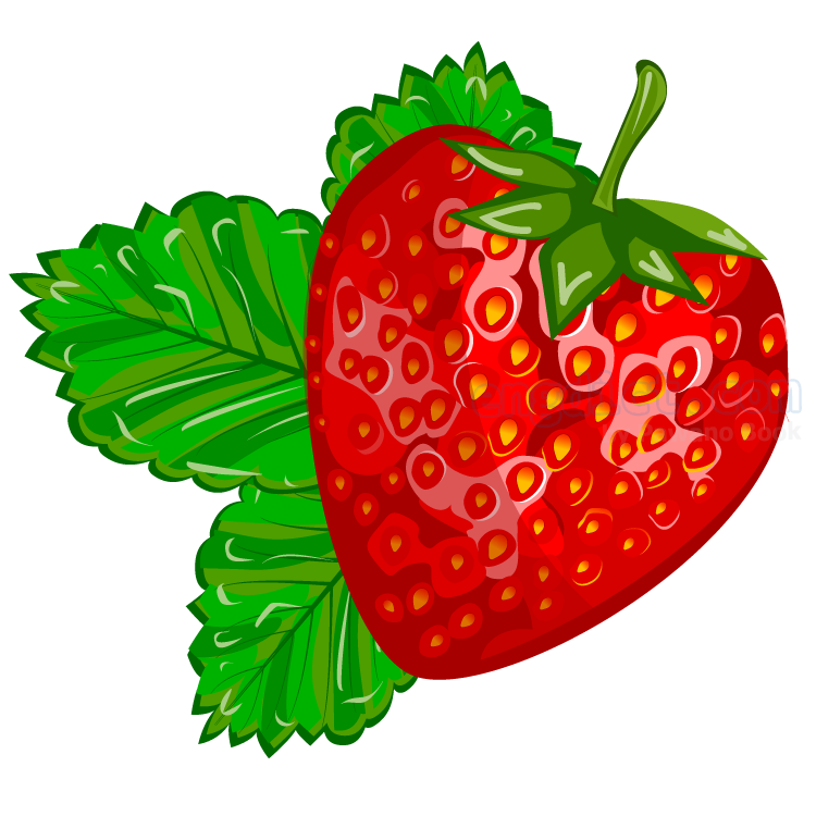 My Image 10