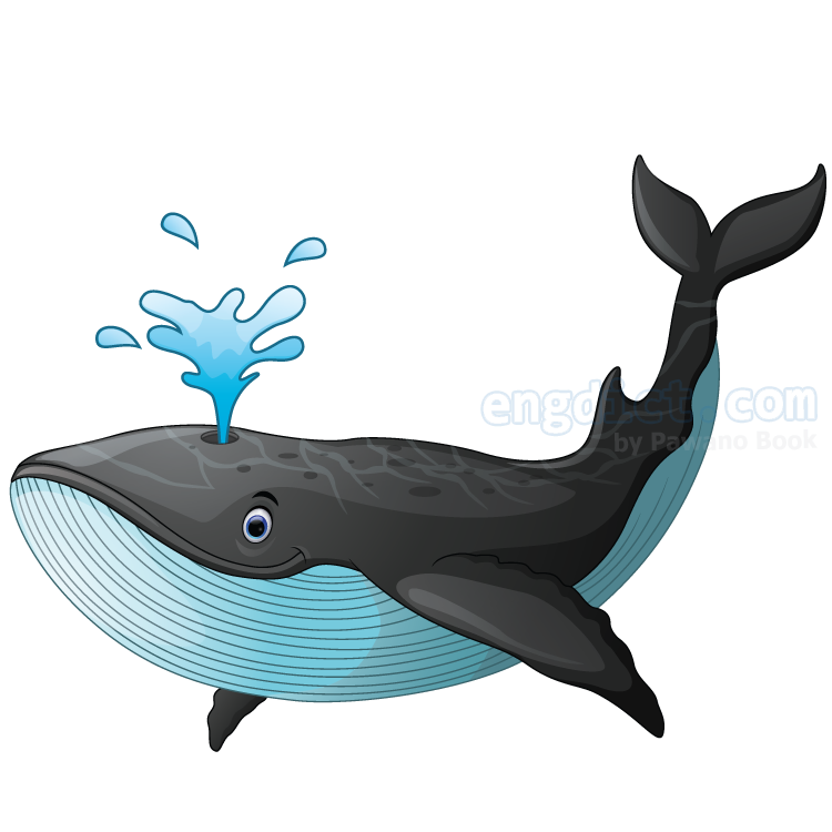 whale แปลว่า ปลาวาฬ