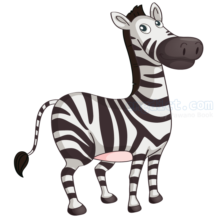 zebra แปลว่า ม้าลาย
