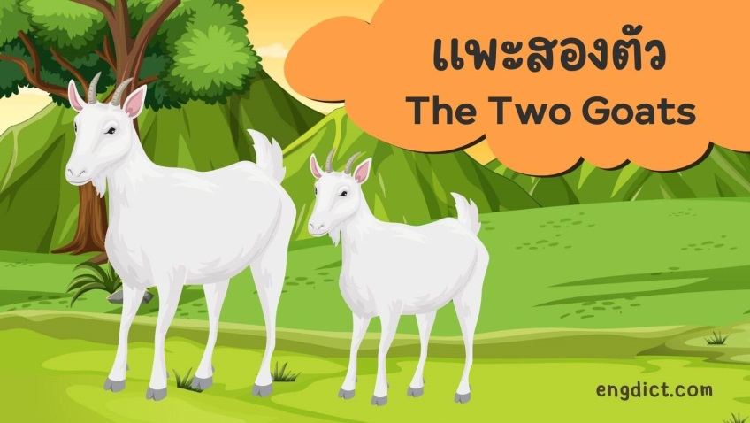 แพะสองตัว | The Two Goats