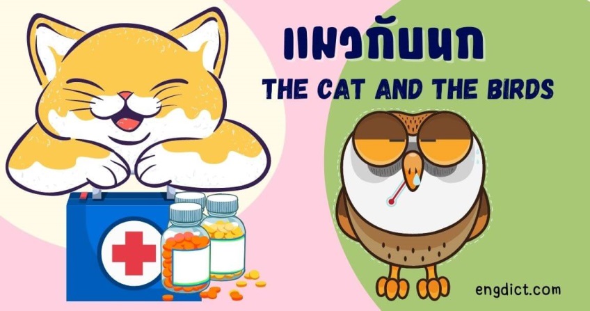 แมวกับนก | The Cat and the Birds