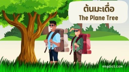 นิทานสองภาษาไทย-อังกฤษเรื่องต้นมะเดื่อพร้อมคำศัพท์อังกฤษและข้อคิดสอนใจ