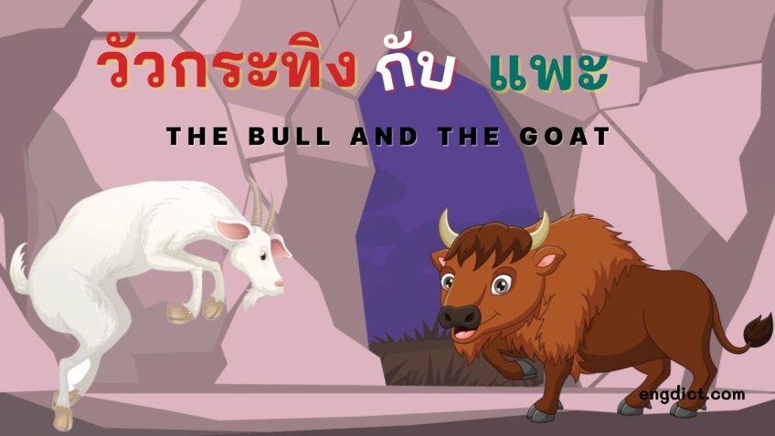 นิทานสองภาษาวัวกระทิงกับแพะพร้อมคำศัพท์อังกฤษและคติสอนใจ นิทานสองภาษาวัวกระทิงกับแพะพร้อมคำศัพท์อังกฤษและคติสอนใจ