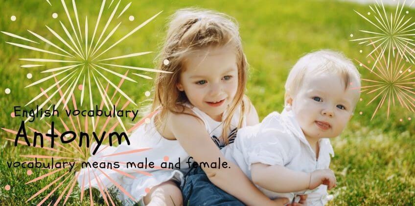 50 คู่คำศัพท์ตรงข้ามภาษาอังกฤษ ที่มีความหมายถึงเพศชายและเพศหญิง