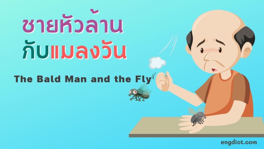 ชายหัวล้านกับแมลงวัน | The Bald Man and the Fly
