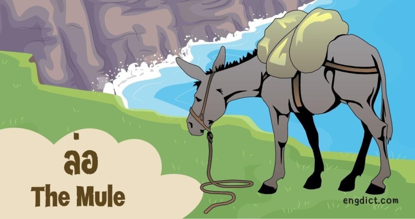 ล่อ | The Mule