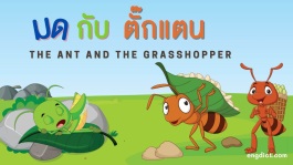 นิทานมดกับตั๊กแตนสองภาษาพร้อมคำศัพท์และข้อคิดสอนใจ