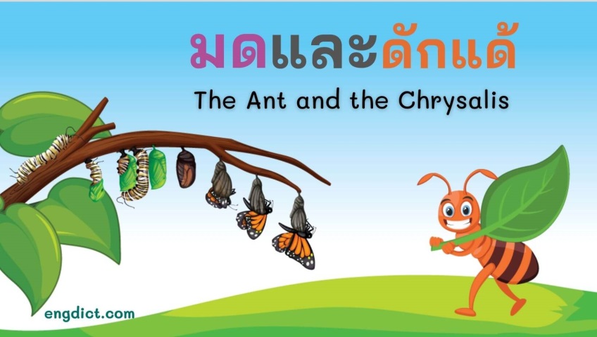 มดและดักแด้  | The Ant and the Chrysalis