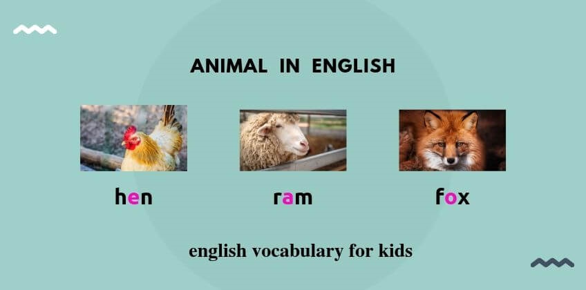 คำศัพท์ภาษาอังกฤษหมวดสัตว์ สำหรับชั้นอนุบาล