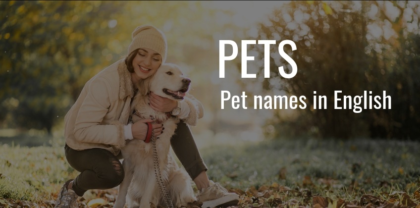 ชื่อสัตว์เลี้ยง เป็นภาษาอังกฤษ