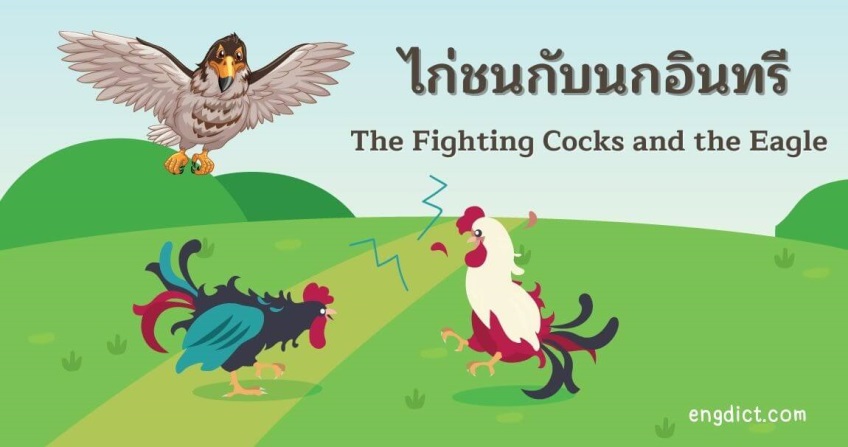 ไก่ชนกับนกอินทรี | The Fighting Cocks and the Eagle